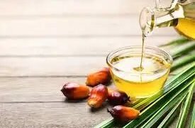 खाद्य तेलों पर आयात शुल्क जल्द ही बढ़ाया जा सकता है