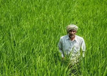 केंद्र सरकार के बड़े कृषि सुधार, 2025-26 तक किसानों की आय दोगुनी करने के लिए व्यापक रणनीति