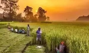2030 तक कृषि निर्यात दोगुना होकर 100 अरब डॉलर होने की संभावना: वाणिज्य सचिव