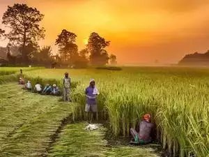 2030 तक कृषि निर्यात दोगुना होकर 100 अरब डॉलर होने की संभावना: वाणिज्य सचिव