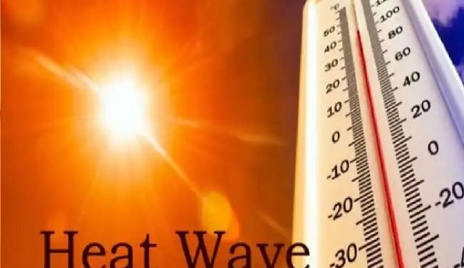 अत्यधिक गर्मी के चलते IARI ने किसानों के लिए ज़ारी की एडवाइजरी.