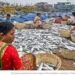 सरकार ने 2029 तक समुद्री खाद्य निर्यात को 1 लाख करोड़ रुपये तक पहुंचाने का लक्ष्य रखा