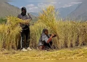 जानें क्या होता है एग्रीकल्चर बजट, किन सेक्टर पर रहता है फोकस