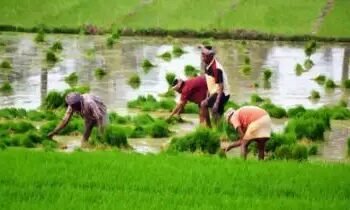 इस राज्य में बना देश का पहला ‘सोलर गांव’, अब बिजली का बिल होगा जीरो