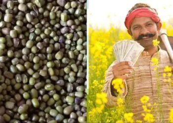 अब किसानों को निशुल्क मिलेंगे बीज, केवल इस कागज़ की पड़ेगी जरुरत, करना होगा ये काम