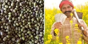 अब किसानों को निशुल्क मिलेंगे बीज, केवल इस कागज़ की पड़ेगी जरुरत, करना होगा ये काम