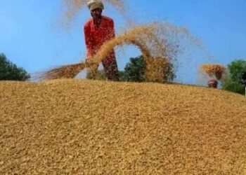 1 अक्टूबर से शुरू होगी धान की खरीद, यूपी किसानों को कराना होगा रजिस्ट्रेशन