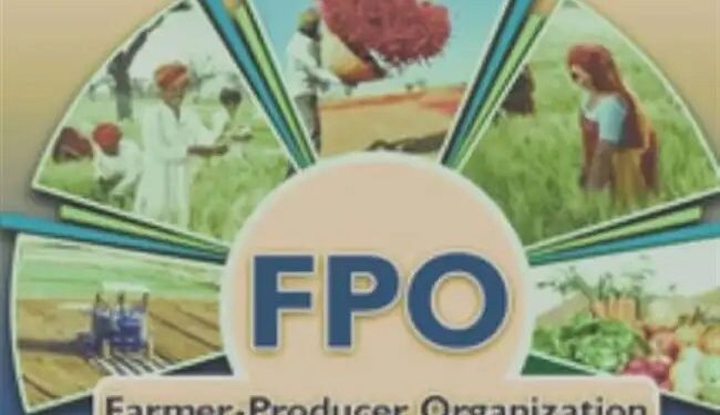 किसानों की आमदनी बढ़ाने की दिशा में बड़ा कदम, 10000 किसान उत्पादक संगठनों का गठन किया गया