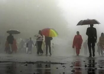 मध्य जून तक मानसून फिर सक्रिय हो जाएगा, पूर्वी और मध्य भारत में तेजी से आगे बढ़ेगा