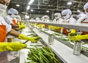 2047 तक भारत कैसे बनेगा विकसित राष्ट्र, कृषि क्षेत्र में अहम फूड प्रोसिंग यूनिट