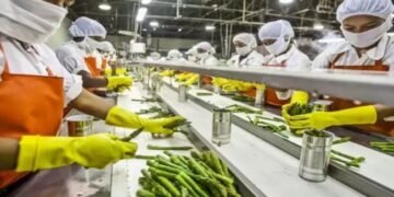 2047 तक भारत कैसे बनेगा विकसित राष्ट्र, कृषि क्षेत्र में अहम फूड प्रोसिंग यूनिट