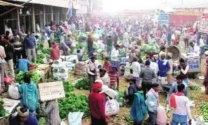लहसुन के भाव पहुंचे आसमान, जानें कितना बढ़ेगा रेट?