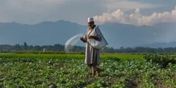 हरियाणा में DAP के बाद अब NPK और SSP की कमी, कृषि मंत्री ने दी जानकारी!