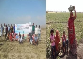 जमीनी स्तर की रचनात्मक एवं संस्थागत ज्ञान से किसानों की आजीविका में हो रहा है सुधार