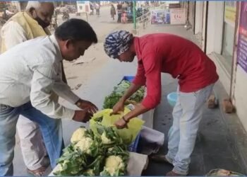 ACC के इन प्रयासों से ओडिशा के किसानों की फसल पैदावार में बढ़ोतरी