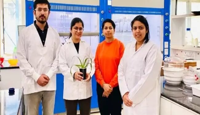 आईआईटी मंडी के शोधकर्ताओं ने टिकाऊ कृषि के लिए माइक्रोजेल विकसित किया