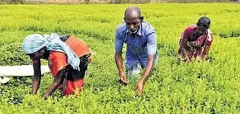 बजट में हो सकती है पीएम किसान के लाभार्थियों के किस्त में बढ़ोतरी, जानें डिटेल!