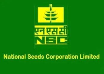 पशुओं के लिए लाभकारी है ज्वार का चारा, बीज लेकर जल्द करें खेती!