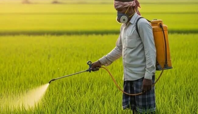 खेत में कीटनाशक डालते समय युवक की मौत, घर में पसरा मातम