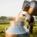 Milk Production: इन 5 राज्यों में बढ़ा दूध उत्पादन, देखें कौन से राज्य ने मारी बाजी