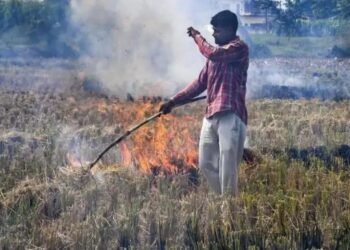 पंजाब: पराली जलाने की घटनाओं पर लगेगा ब्रेक, इस मशीन पर मिल रही 50% सब्सिडी