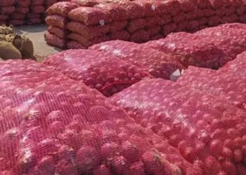 निर्यात शुल्क देरी से हटाने पर किसानों को भारी नुकसान, अब किसान  संगठन कर रह विरोध प्रदर्शन की तैयारी!