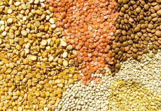 देश बनेगा दलहन फसलों में आत्मनिर्भर, बजट पेश करते हुए केंद्रीय वित्त मंत्री ने कही ये बात, जानें क्या हैं मंडी भाव?