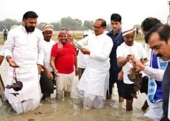 बिहार में कृषि मंत्री ने की किसानों से वार्ता, नई वैरायटी के लिए दिए निर्देश, जानें पूरी डिटेल!