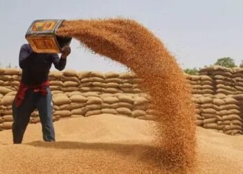 इन राज्यों में गेहूं की आवक तेज, MSP पर हो रही खरीद!