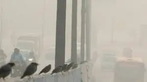 इंदौर की वायु गुणवत्ता में आया बदलाव! AQI 400 के पार पहुंचा, ‘गंभीर’ श्रेणी में पहुंच