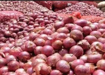 सरकार ने सीधे 5 लाख टन प्याज की खरीद प्रक्रिया शुरू करने का निर्देश दिया