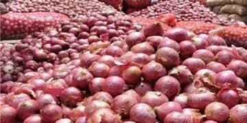 सरकार ने सीधे 5 लाख टन प्याज की खरीद प्रक्रिया शुरू करने का निर्देश दिया