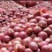 सरकार ने सीधे 5 लाख टन प्याज की खरीद प्रक्रिया शुरू करने का निर्देश दिया