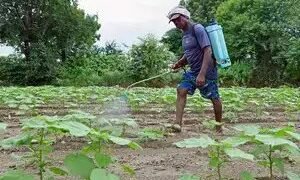 चीन भारत से साइपरमेथ्रिन पर एंटी-डंपिंग जमा लगाएगा