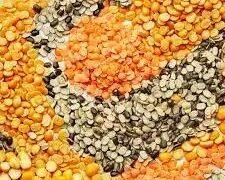 अगस्त में मानसून सामान्य से बेहतर- क्या होगी खाद्य पदार्थों की कीमतों में कमी?