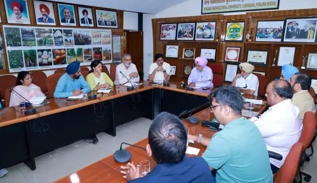 पंजाब कृषि विश्वविद्यालय और फ्लोर मिलर्स ने मिलकर किया गेहूं प्रणाली में सुधार का खाका तैयार