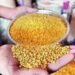 सरकार आज बफर के लिए एमएसपी से ऊपर दालों की खरीद शुरू करेगी