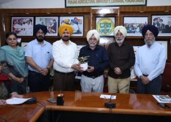 कैंपस में मानसिक स्वास्थ्य को नई मजबूती, ‘साथ’ पहल से छात्रों को 24×7 काउंसलिंग सहारा