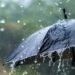 सामान्य से कम होगी इस साल की बारिश, मौसम विभाग ने दी चेतावनी