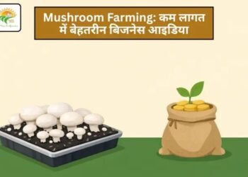 Mushroom Farming: कम लागत में बेहतरीन बिजनेस आइडिया