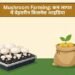 Mushroom Farming: कम लागत में बेहतरीन बिजनेस आइडिया