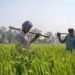 Farmers Relief: किसानों को राहत, फसली ऋण चुकाने की समय-सीमा बढ़ी, लाखों को मिलेगा फायदा