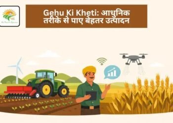 Gehu Ki Kheti: आधुनिक तरीके से पाए बेहतर उत्पादन