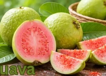 Guava देसी फल लेकिन इंटरनेशनल फायदे