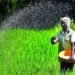 भारत का फर्टिलाइजर उत्पादन 15% कम, सब्सिडी 25,000 करोड़ रुपये बढ़ सकती है