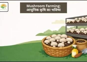 Mushroom Farming: आधुनिक कृषि का भविष्य