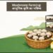 Mushroom Farming: आधुनिक कृषि का भविष्य