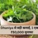 Dhaniya से बढ़ी कमाई, 1 एकड़ में ₹50,000 मुनाफा