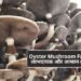 Oyster Mushroom Farming: लाभदायक और आसान व्यवसाय