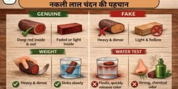 Red Sandalwood (Chandan): असली-नकली लाल चंदन की पहचान